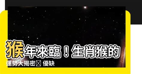 屬猴子|生肖猴性格優缺點、運勢深度分析、年份、配對指南